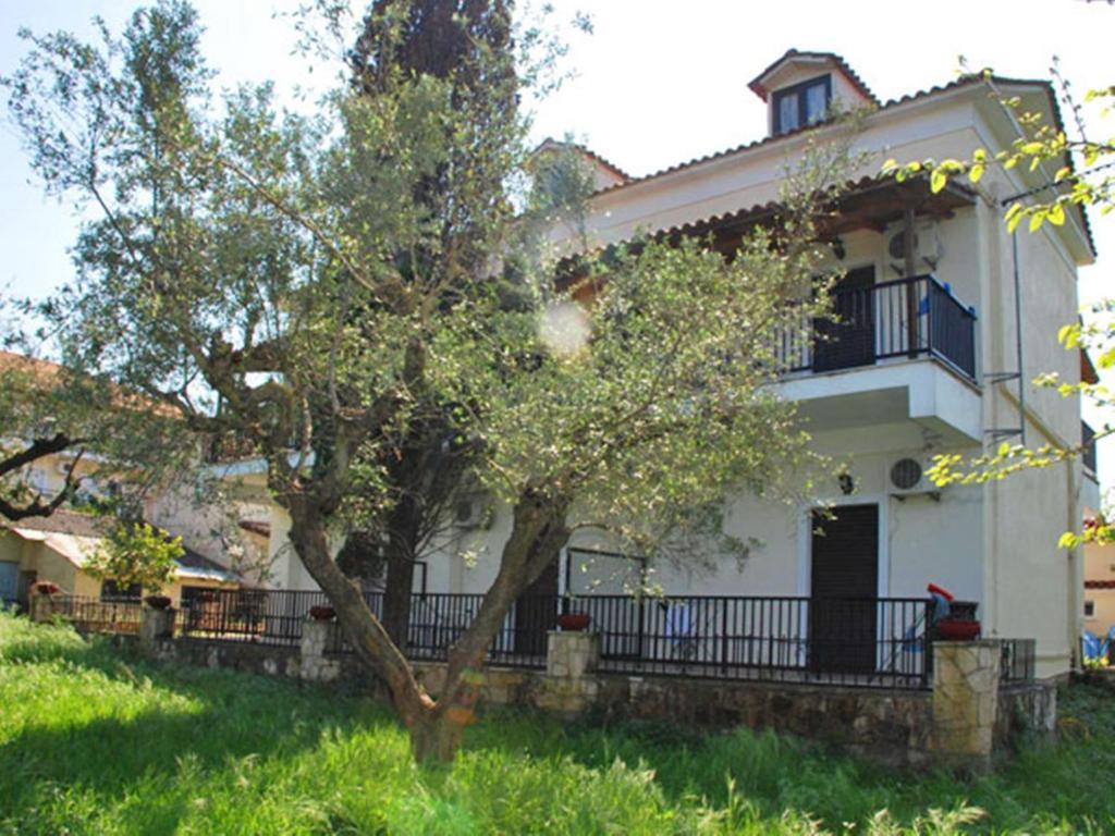Red Rose Garden Tsilivi (Zakynthos) Exterior foto
