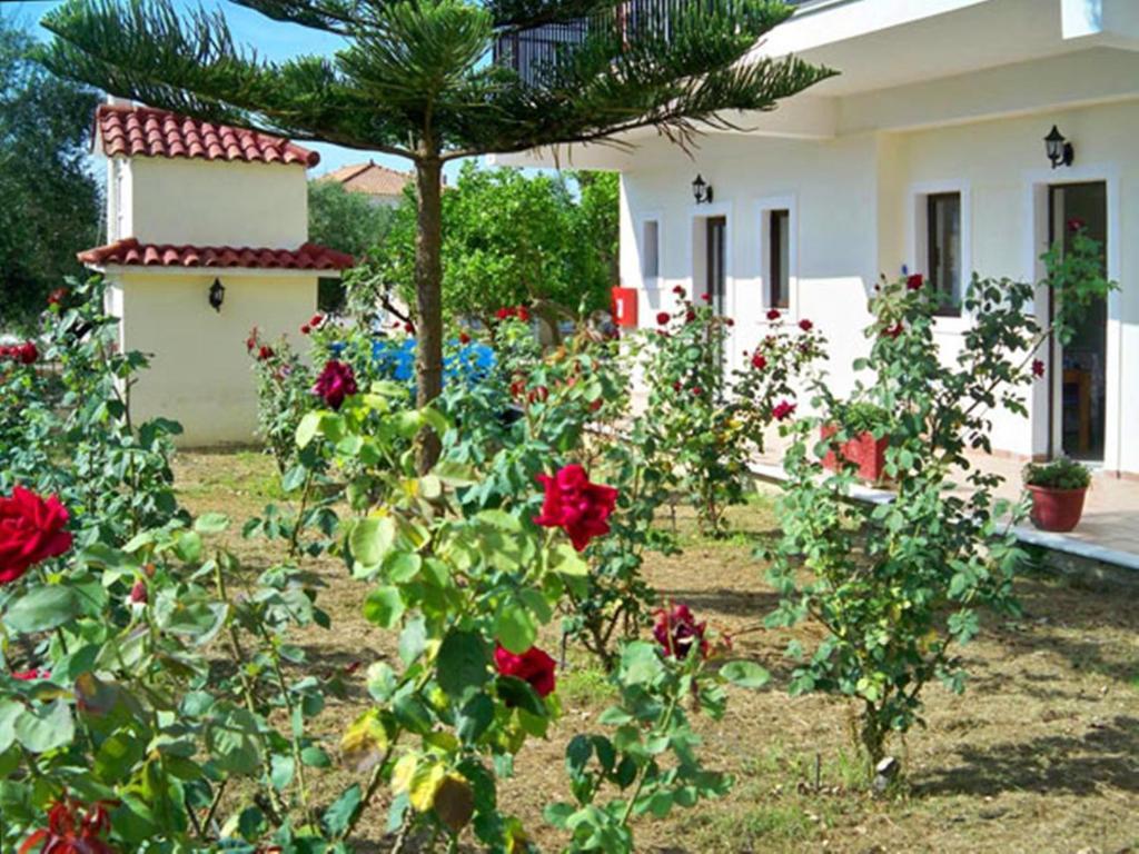 Red Rose Garden Tsilivi (Zakynthos) Exterior foto