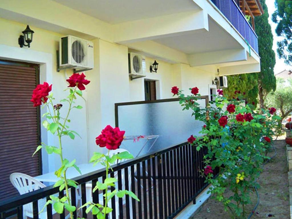 Red Rose Garden Tsilivi (Zakynthos) Exterior foto